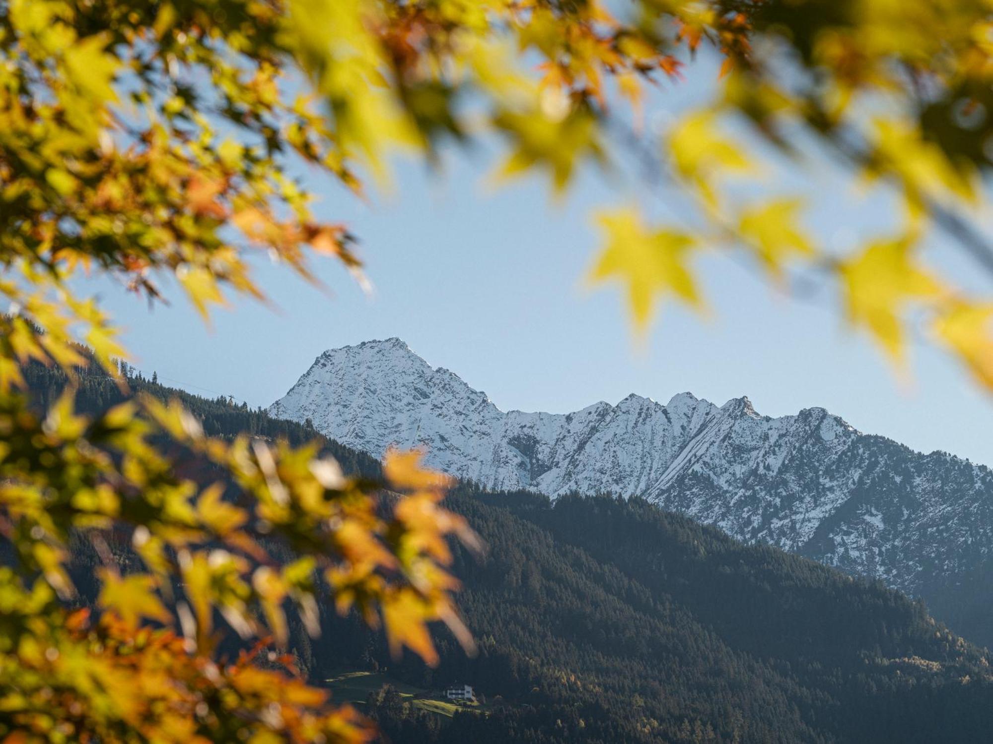 Apparthotel "Landhaus Veronika" Mayrhofen Eksteriør bilde